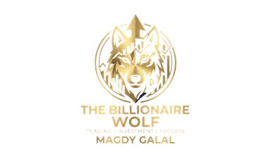 Magdy Galal Logo